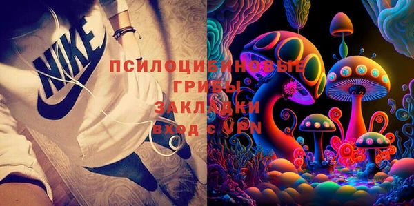 сатива Балабаново