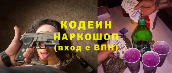 прущие грибы Пересвет